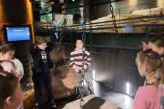 IMG-20261001-WA0012