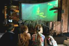 IMG-20261001-WA0022